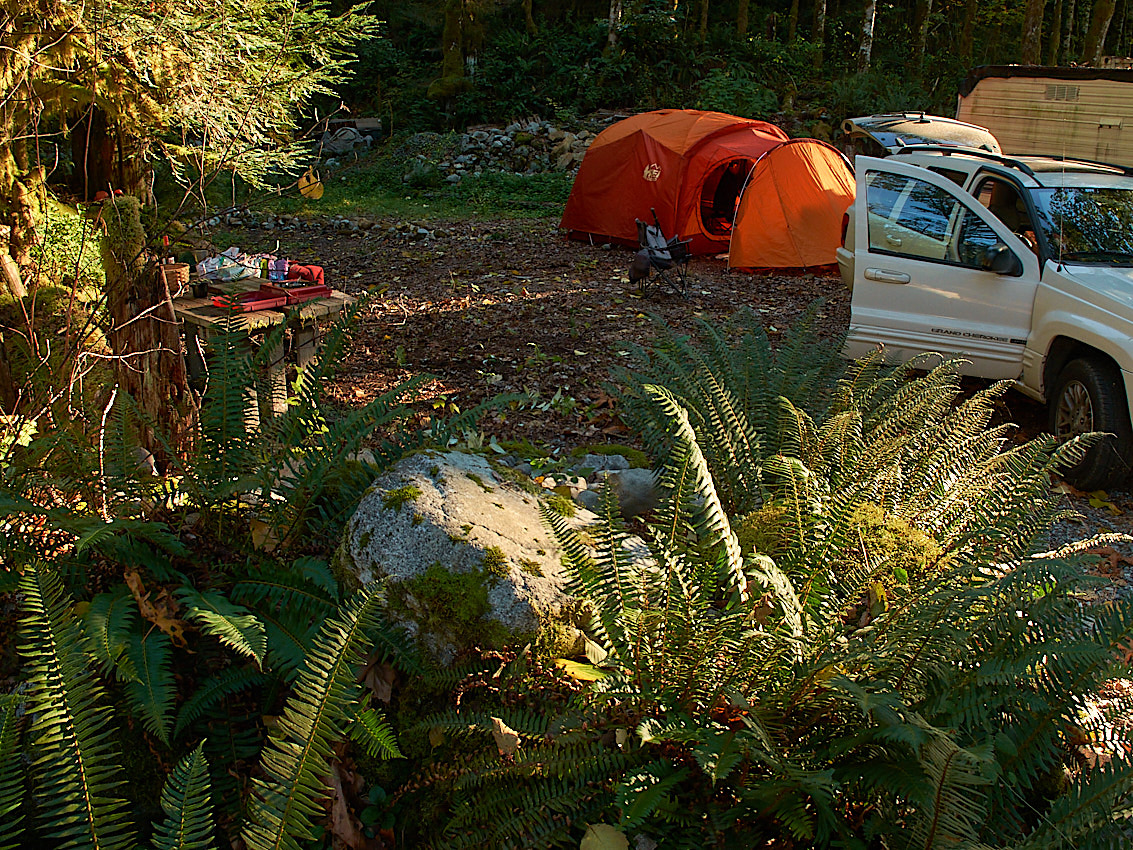 Mushroom Camping