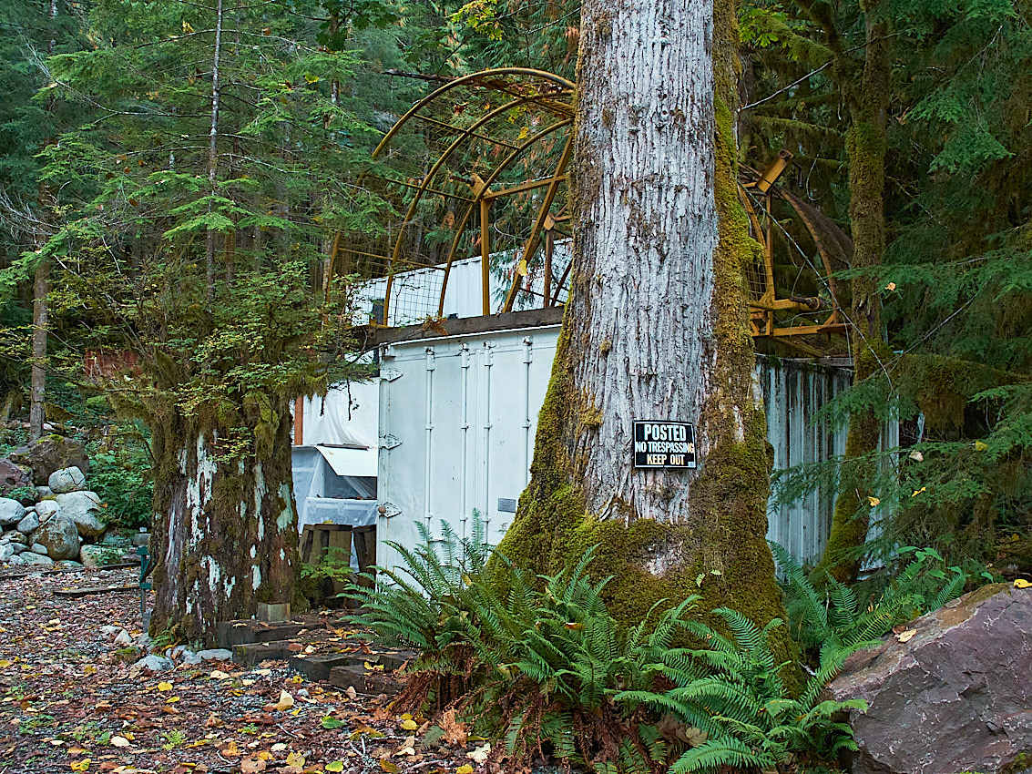 Mushroom Camping