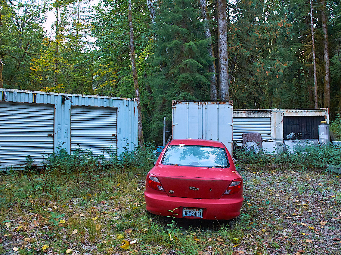 Mushroom Camping