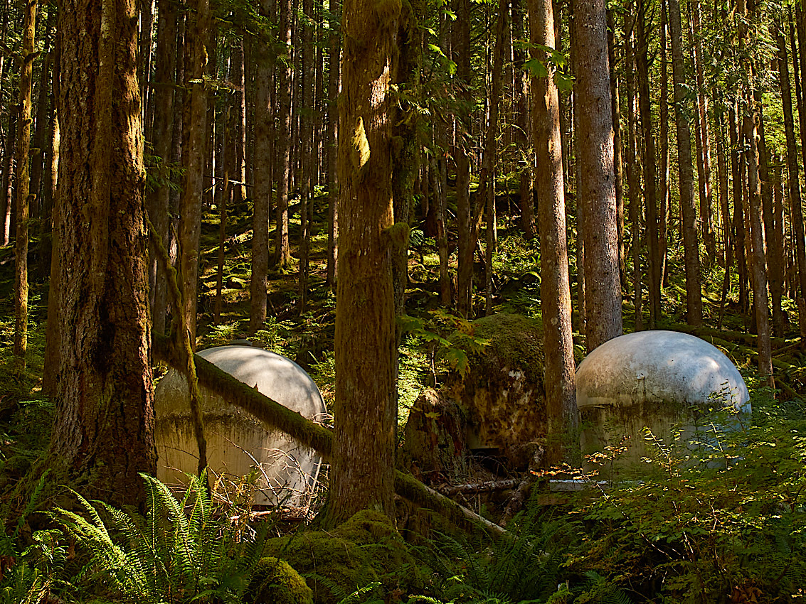 Mushroom Camping