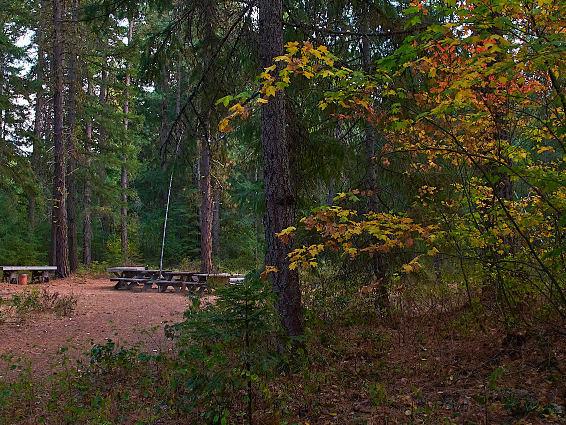 Mushroom Camping