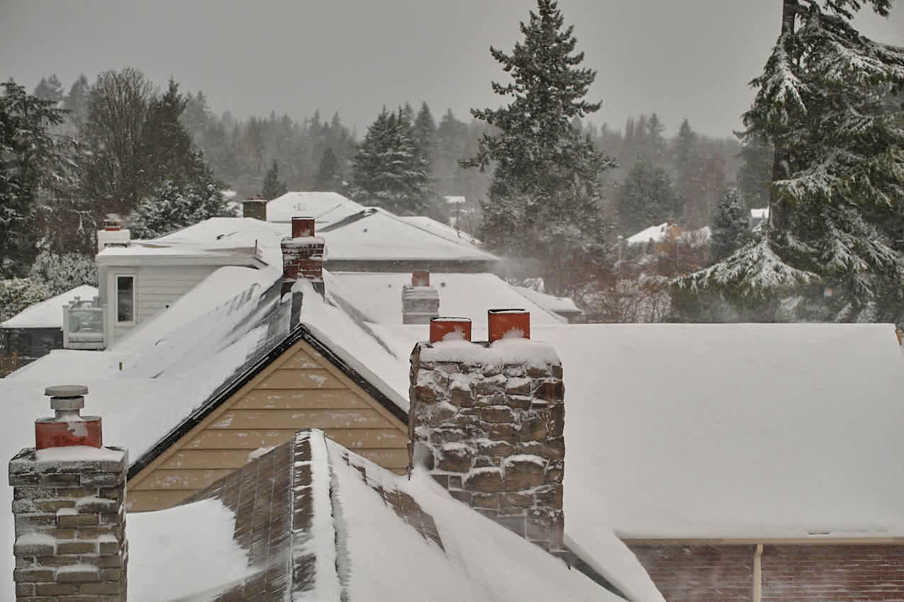 Snowy Roofs