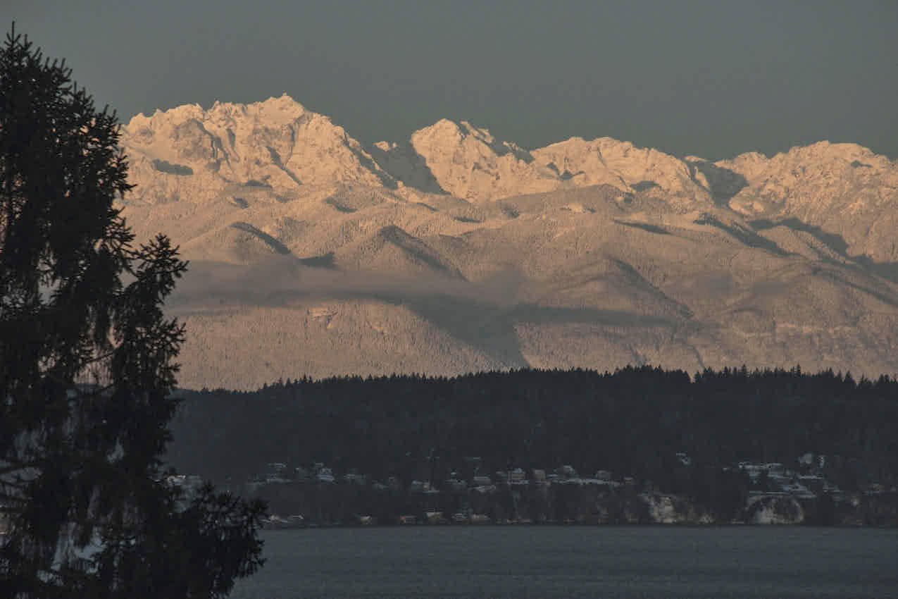 Snowy Olympics