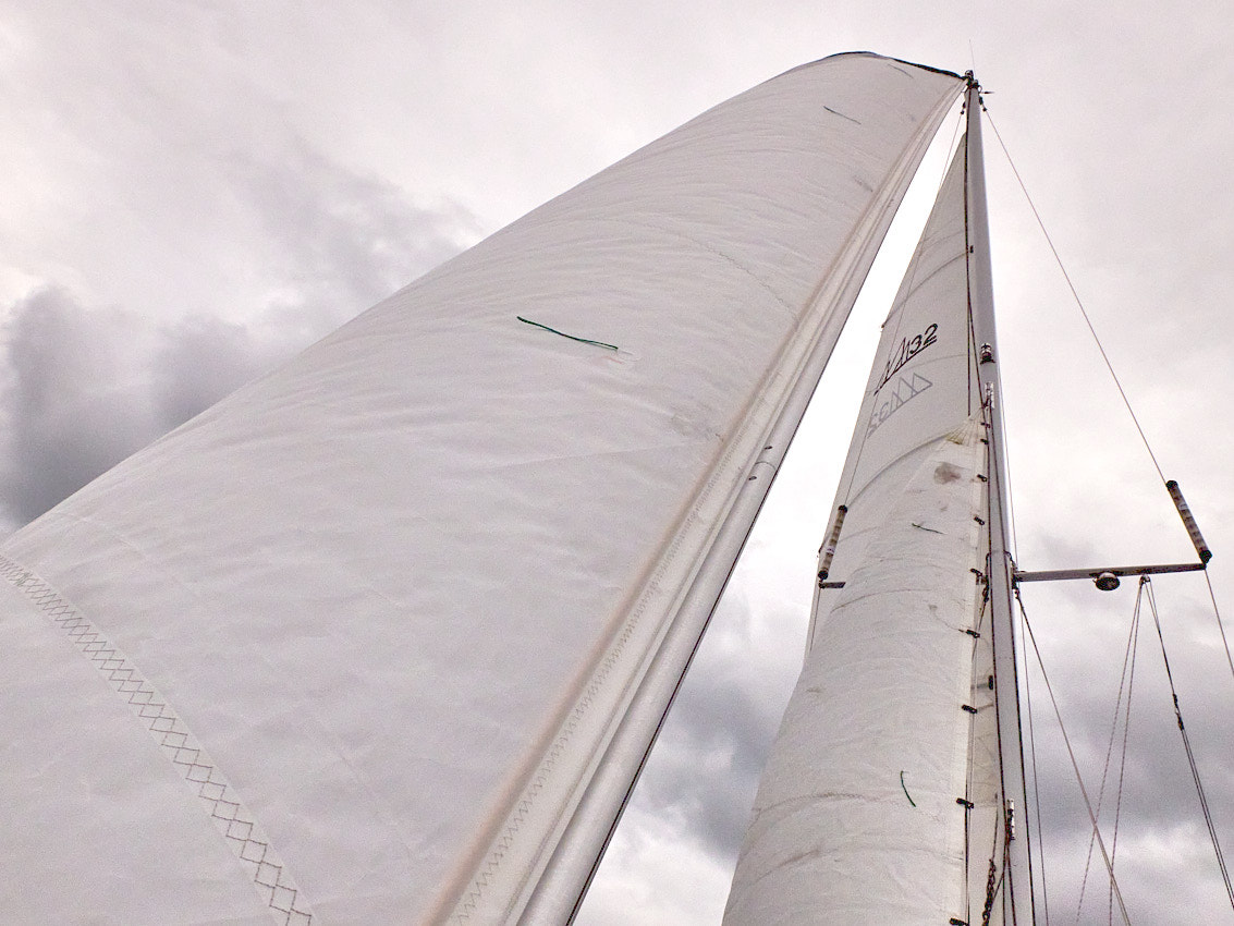 23.7.25_Fuji_32_SurveySail