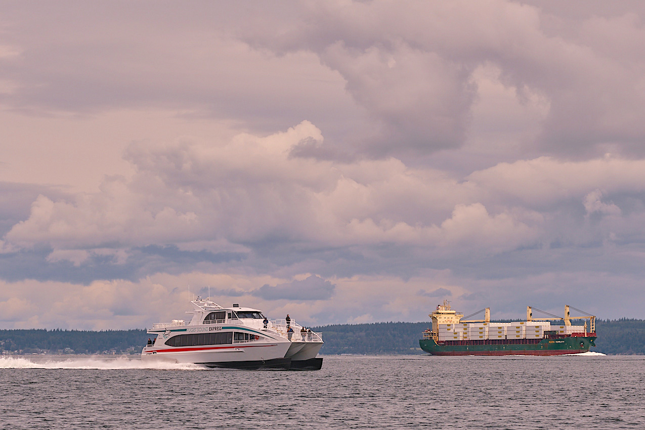 Coho.PT.FieldTrip