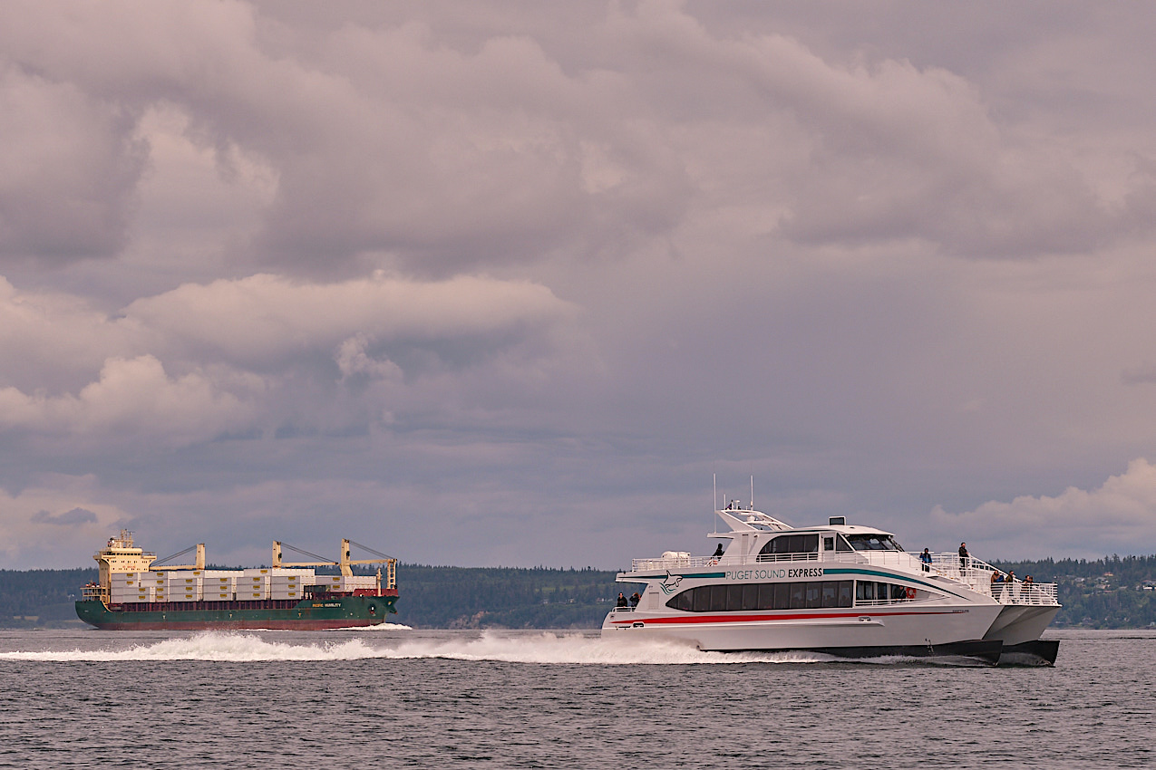 Coho.PT.FieldTrip