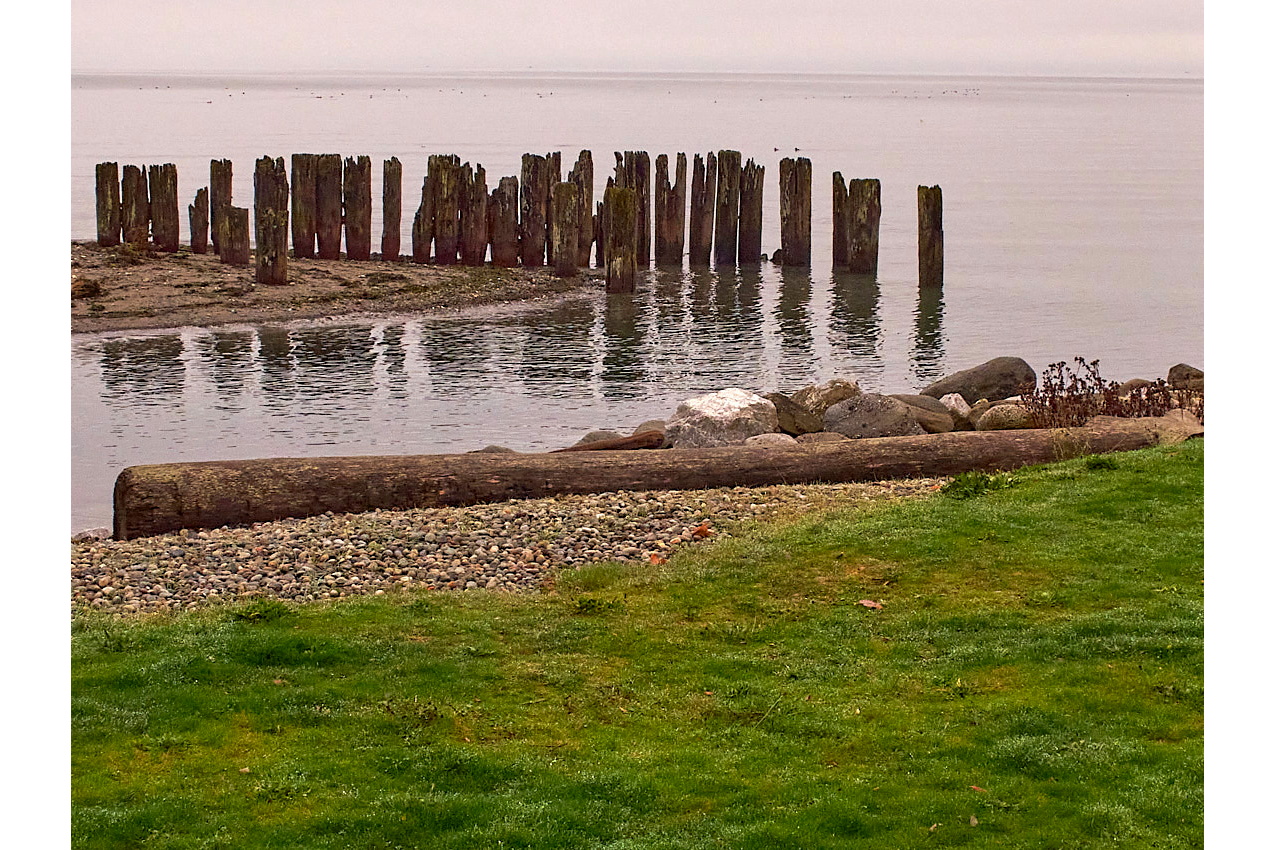 25.11.15_BirchBay.Gwynne