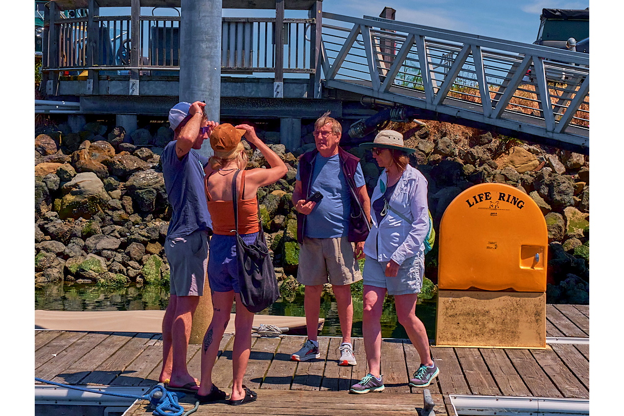 25.6.8_Amelia-Sequim