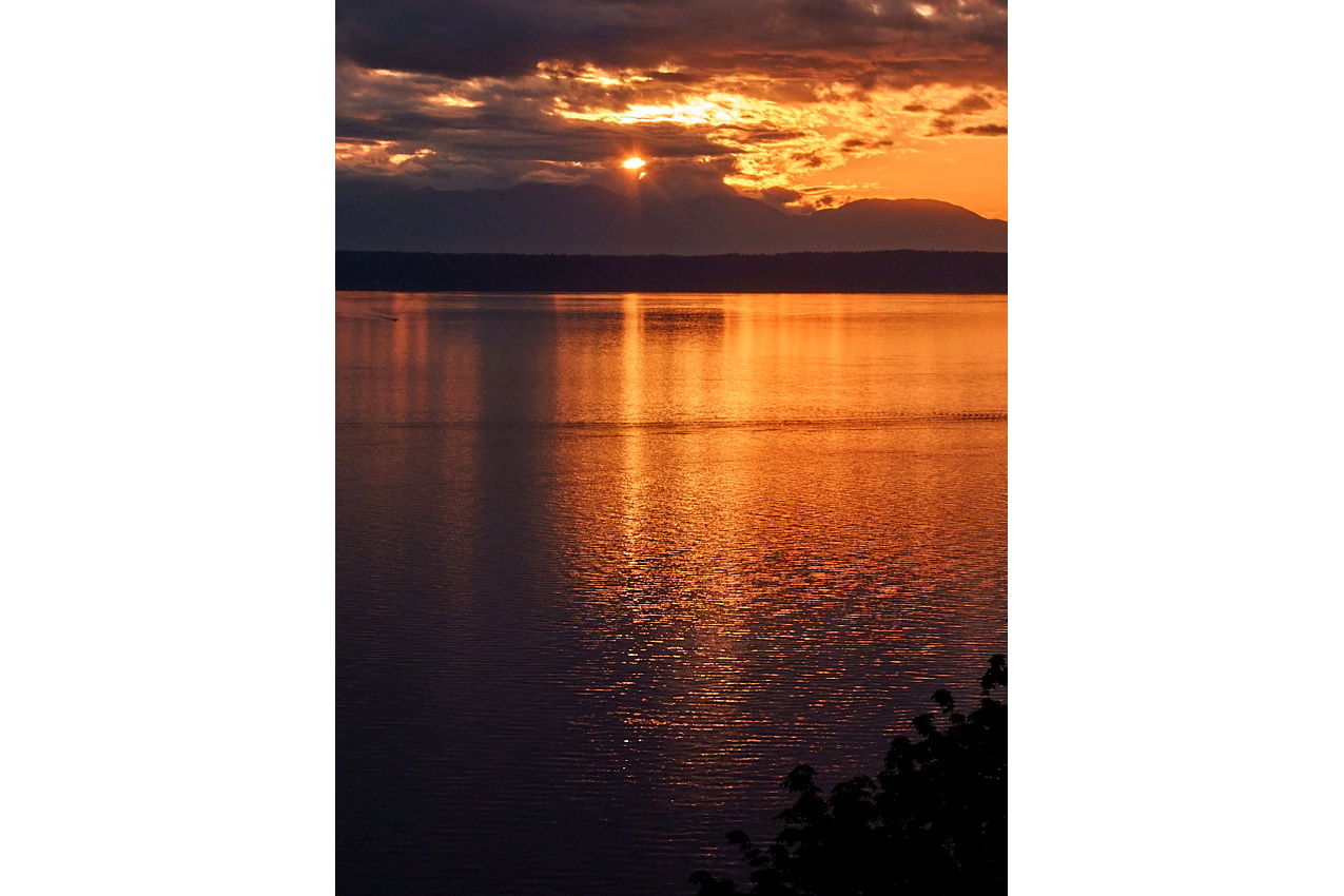 26.5.10_ThaiNight