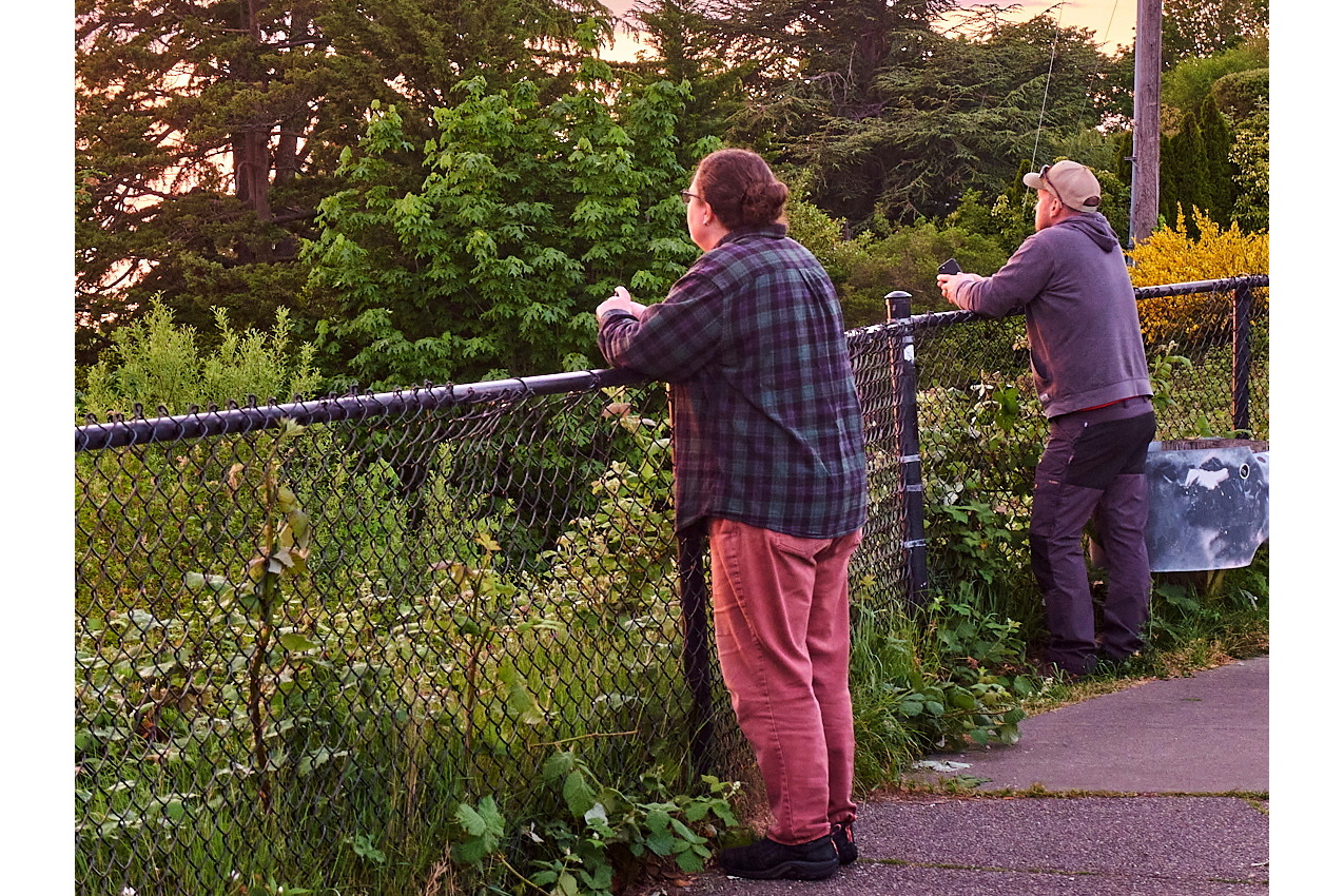 26.5.10_ThaiNight