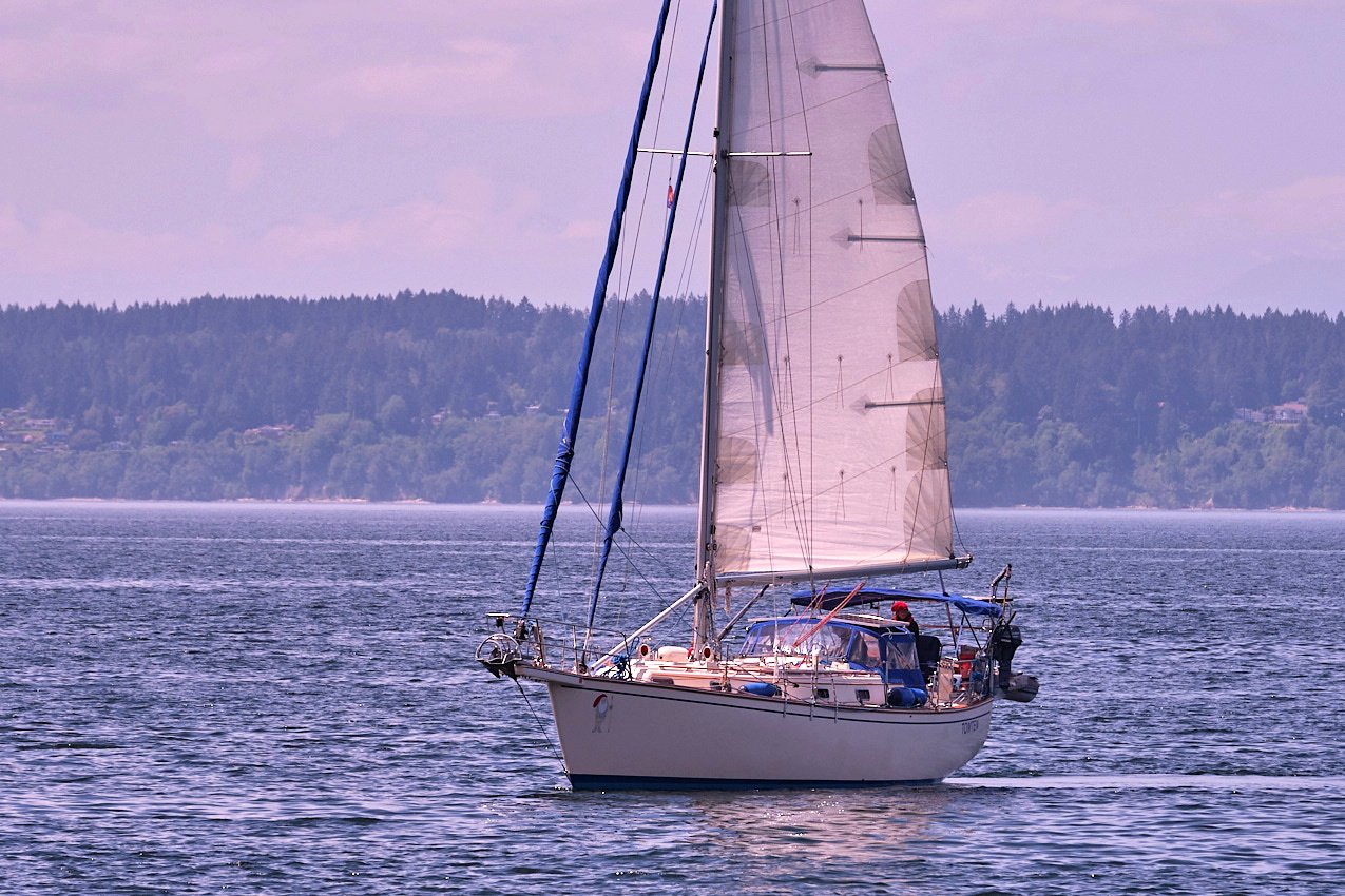 26.5.24_Coho.Tomten