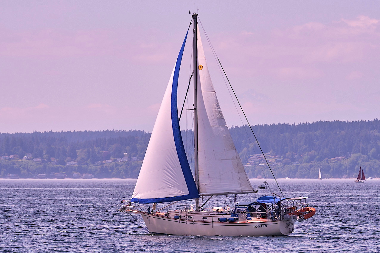 26.5.24_Coho.Tomten