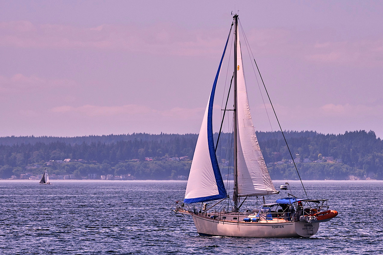 26.5.24_Coho.Tomten
