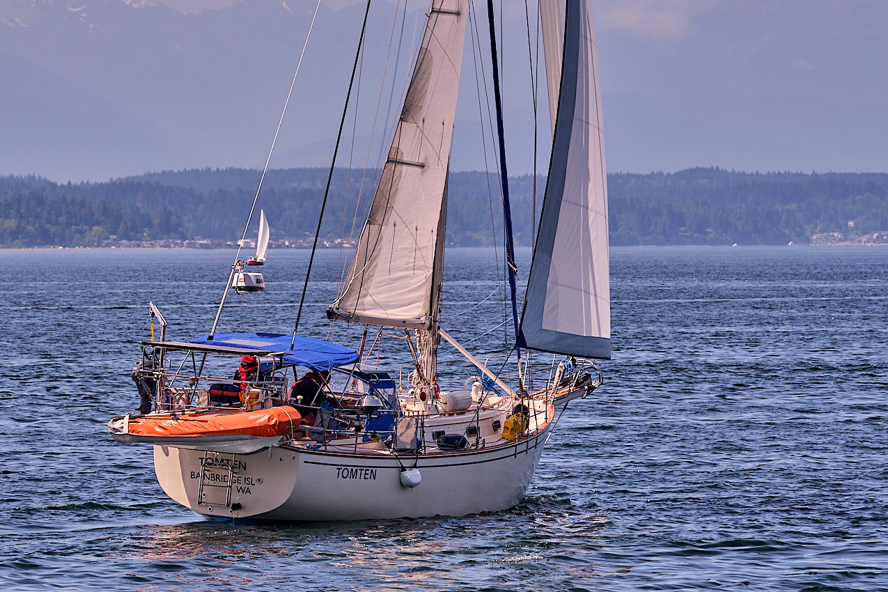 26.5.24_Coho.Tomten