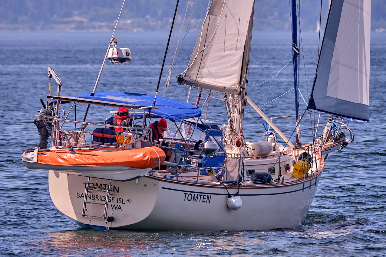 26.5.24_Coho.Tomten