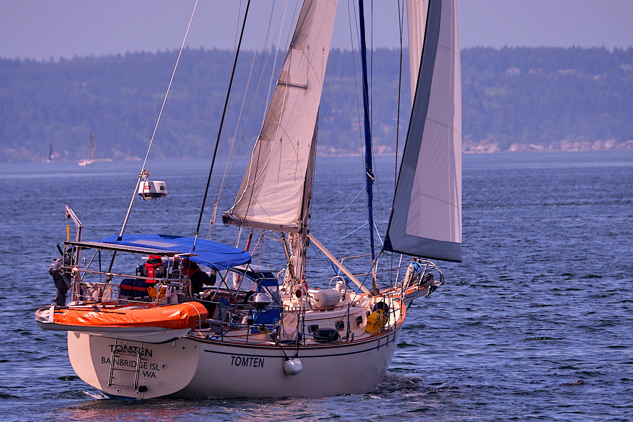 26.5.24_Coho.Tomten