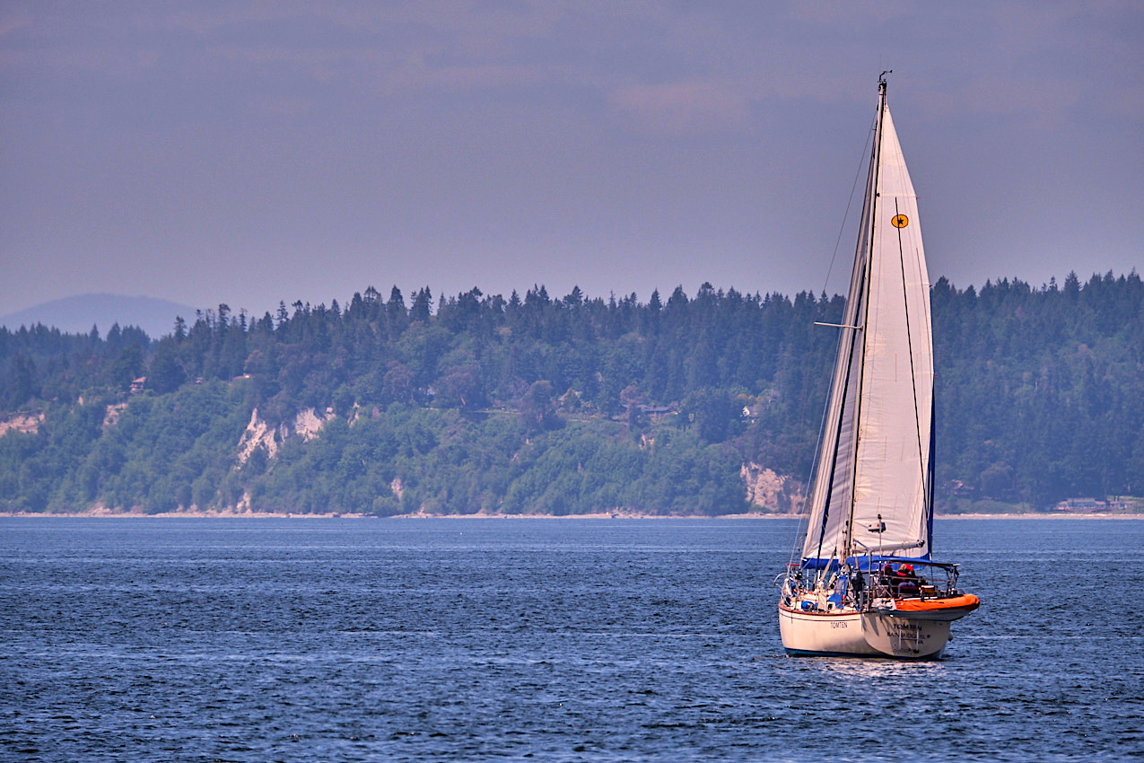 26.5.24_Coho.Tomten