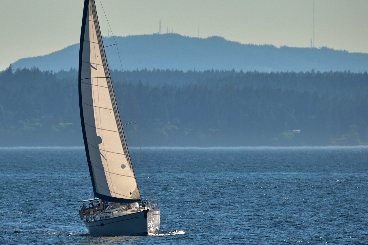 26.6.22_Coho.Somerled