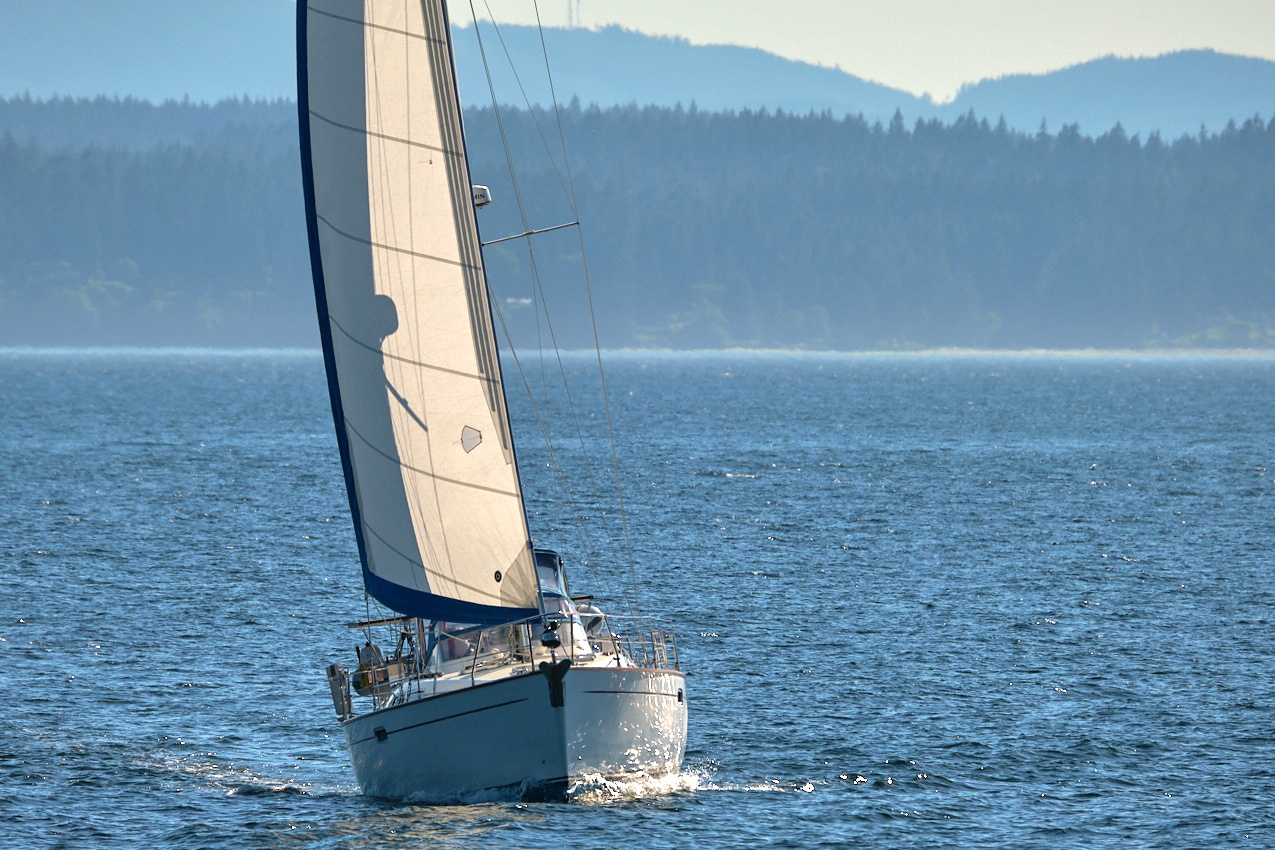 26.6.22_Coho.Somerled