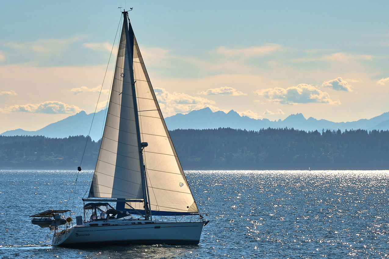 26.6.22_Coho.Somerled