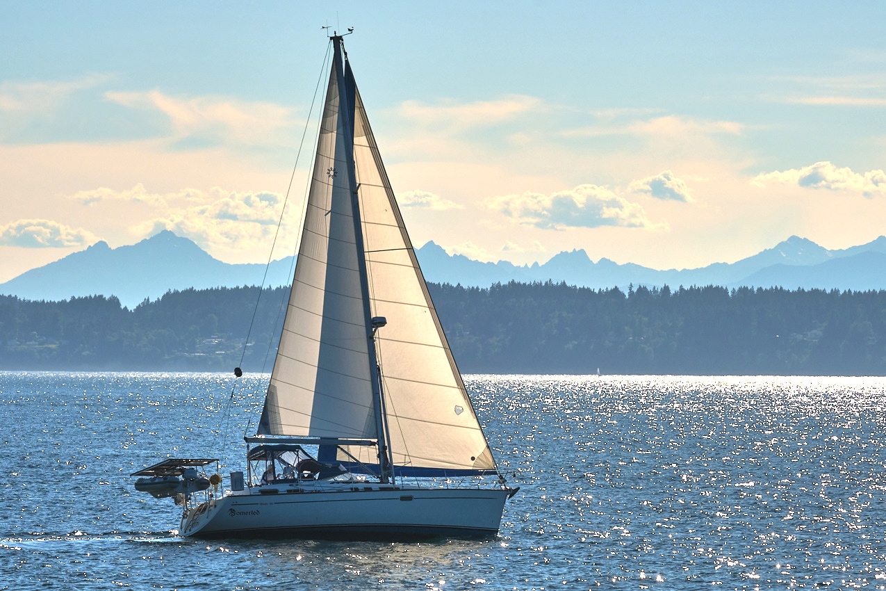 26.6.22_Coho.Somerled