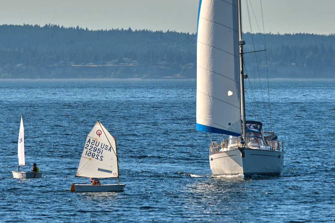 26.6.22_Coho.Somerled