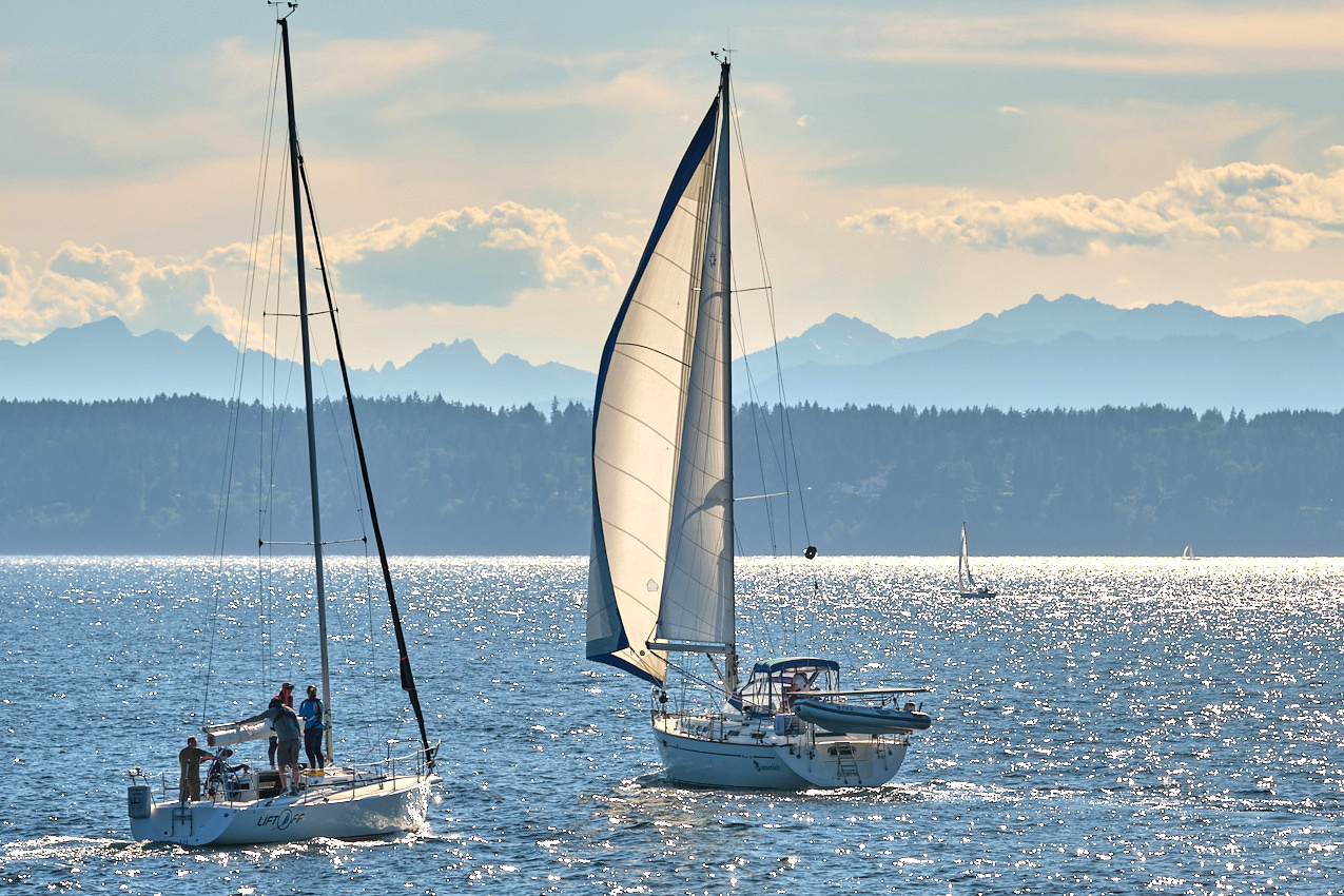 26.6.22_Coho.Somerled