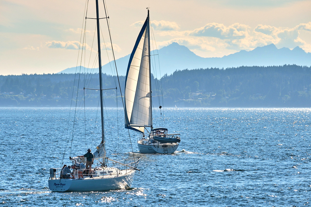 26.6.22_Coho.Somerled
