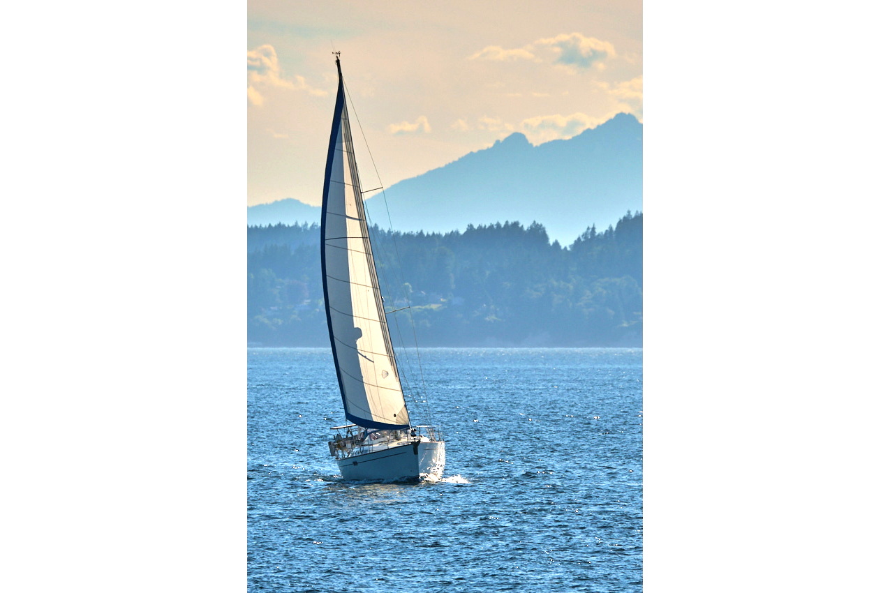 26.6.22_Coho.Somerled