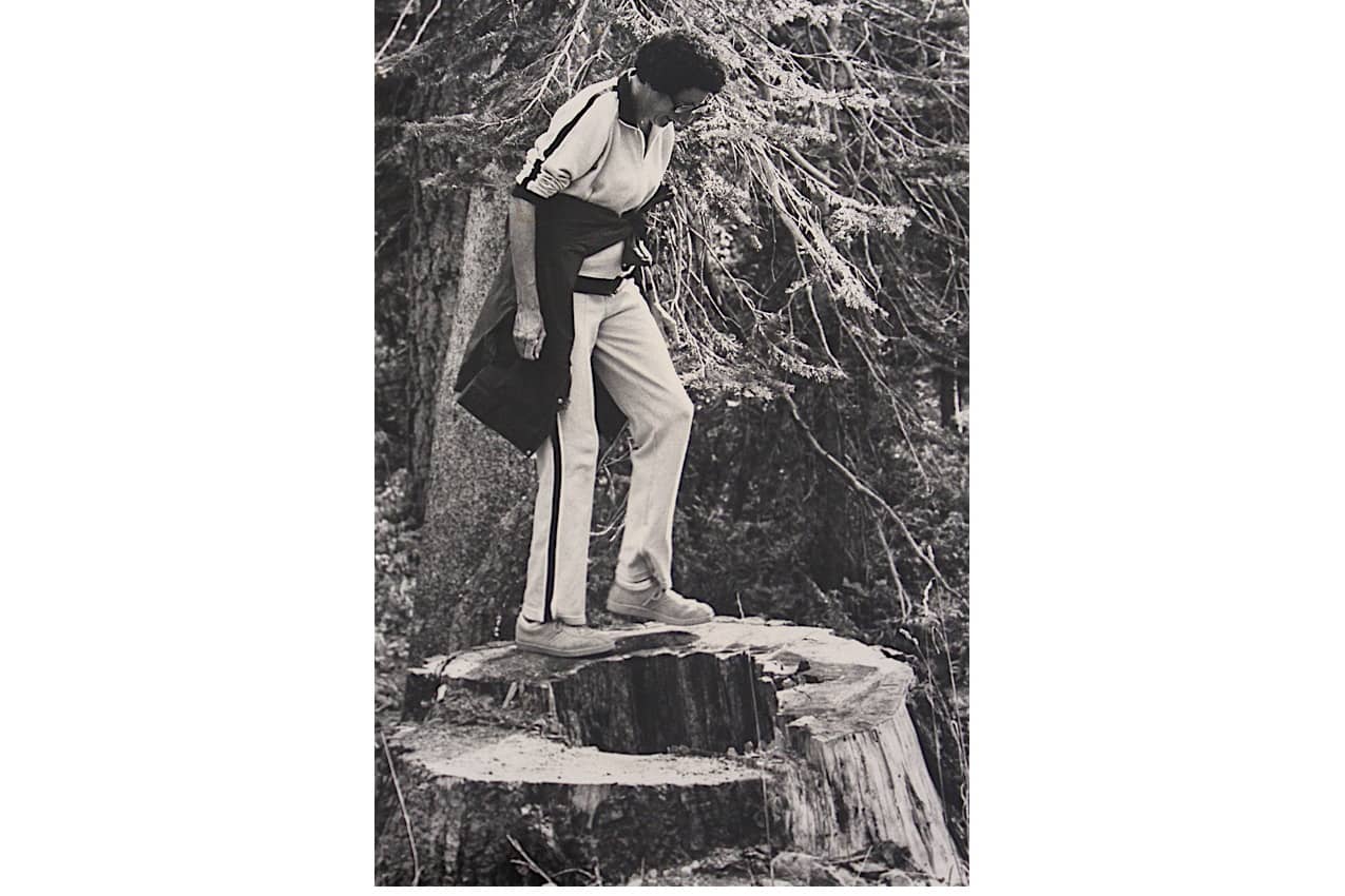 Common College.Jean on stump